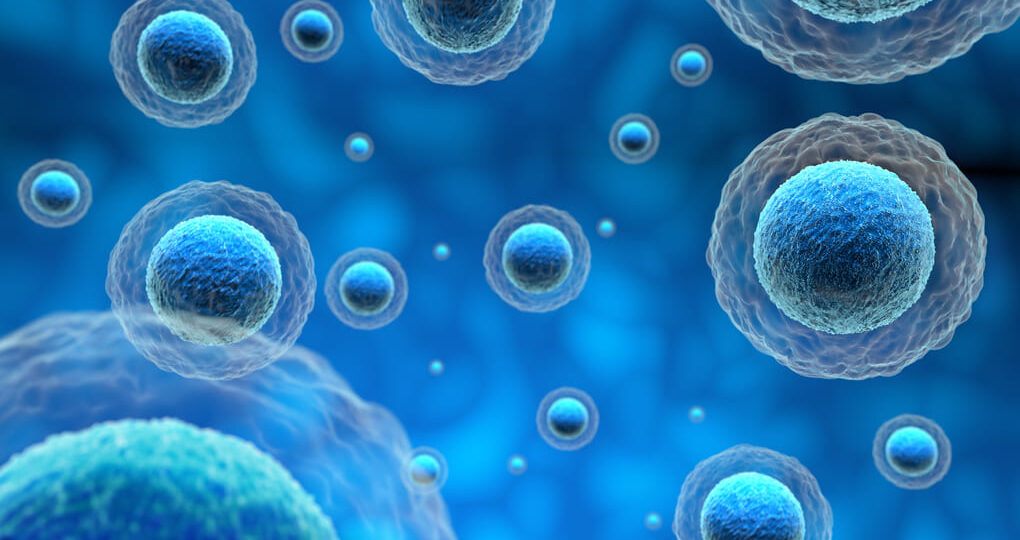 Síntomas tempranos del embarazo tras la fecundación: información para personas de  Costa Rica