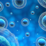 Síntomas tempranos del embarazo tras la fecundación: información para personas de  Costa Rica