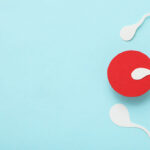 ¿Qué pasa en el cuerpo después de la fecundación? Respuestas para personas de Colombia